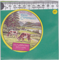 C1363 FROMAGE PETIT CAMEMBERT BELCAIRE AUBE 50 % - Cheese