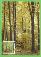 Luxembourg  2011  Mi.Nr. 1904 , EUROPA CEPT / Der Wald - Maximum Card - Jour D'Emission Luxembourg 17.05.2011 - 2011