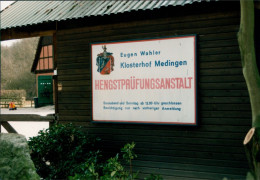 Medingen-Bad Bevensen Klosterhof Medingen Hengstprüfungsanstalt 1996 Privatfoto  - Bad Bevensen