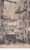 Genova Truogoli Di Santa Brigida - Genova (Genua)