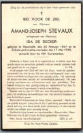 Bidprentje Haasdonk - Stevaux Amand Joseph (1867-1940) - Santini