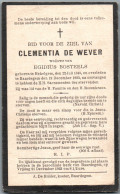 Bidprentje Hekelgem - De Wever Clementia (1848-1923) Hoekplooi - Santini