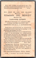 Bidprentje Hemiksem - De Bondt Elisabeth (1862-1937) Plooi - Imágenes Religiosas