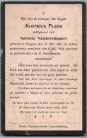Bidprentje Heppen - Plees Aloysius (1855-1928) Hoekplooi - Santini