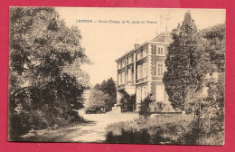 C.P. Chevron = Ancien  Château  De M.  Jamar  Et  L' Avenue - Stoumont