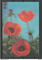 NORTH KOREA  - Poppy Flower - Old 3D Postcard, Unused - Stereoscopische Kaarten