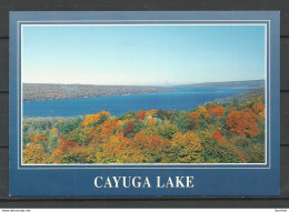 USA CAYUGA LAKE Ithaca New York Unused - Otros & Sin Clasificación