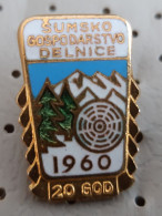 DELNICE 1960 Wood Industry Forest Menagement Croatia Ex Yugoslavia Vintage Enamel Pin - Marcas Registradas