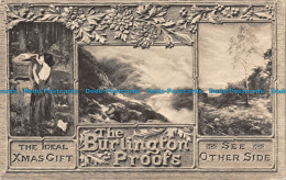 R100007 The Ideal Xmas Gift. The Burlington Proofs. See Other Side. The Fine Art - World