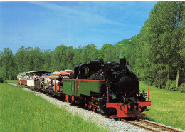 Train Chemin De Fer Sudwestdeutsche Verkehrs AG Schmalspur Dampflokomotive ZB 4 Bei Schontal - Treinen