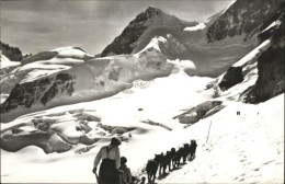 10794779 Jungfrau BE Jungfrau Rottalhorn Polarhunde X Jungfrau BE - Other & Unclassified
