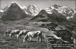 10794753 Maennlichen Maennlichen Tschuggen Eiger Moench Jungfrau Kuehe * Maennli - Other & Unclassified