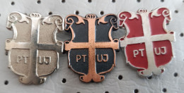PTUJ  Coat Of Arms, Blason, Slovenia Pins - Villes