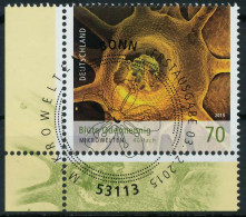 BRD 2015 Nr 3193 ESST Zentrisch Gestempelt ECKE-ULI X840B22 - Used Stamps