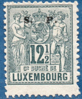 Luxemburg Service 1882 12½ C S.P. Overprint (perforated 12½) Extra  Long Stamps MH - Oficiales