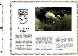 Rare Feuillet PAC (précurseur De CEF) De 1973 - La Cigogne D’Alsace - 1970-1979