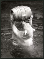 Fotografie Eisbär - Polarbär Stemmt Leeres Bierfass  - Sonstige & Ohne Zuordnung