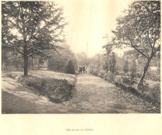 BRAINE-LE-COMTE - Ecole Des Soeurs Notre-Dame - Une Allée Du Jardin - Ancienne Photo Imprimée Sur Papier - Unclassified