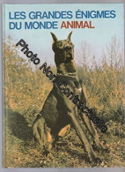 Les Grandes énigmes Du Monde Animal - Les Animaux Domestiques 1 - Other & Unclassified