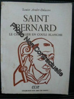 Saint Bernard Le Chevalier En Coule Blanche - Other & Unclassified