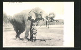 AK Elephant & Trainer, Indischer Dompteur Mit Einem Elefanten  - Elephants