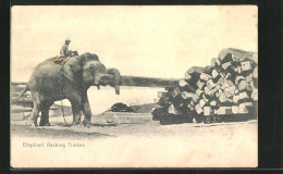 AK Elephant Stacking Timber, Elefant Stapelt Holz  - Elefantes