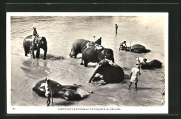 AK Katugastota /Ceylon, Elephants Bathing, Badende Elefanten  - Elefantes