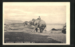 AK Elephant Stucking Timber, Elefant Stapelt Holz  - Olifanten