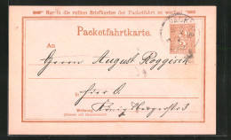 AK Packetfahrtkarte, Private Stadtpost, Architekt Wilhelm Bragrock Aus Berlin  - Briefmarken (Abbildungen)