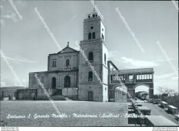 Br163 Cartolina Santuario S.gerardo Maiella Materdomini La Basilica Avellino - Avellino