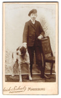 Fotografie Friedrich Schatz, Magdeburg, Portrait Knabe Im Anzug Mit Seinem Hund Im Atelier  - Anonyme Personen