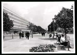 Fotografie Unbekannter Fotograf, Ansicht Berlin, Unter Den Linden, Sowjet-Sektor 1966  - Lugares