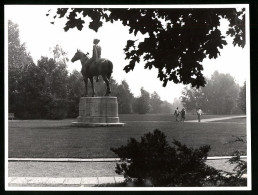 Fotografie Unbekannter Fotograf, Ansicht Berlin, Amazone Zu Pferde Statue Von Louis Tuaillon Im Tiergarten 1968  - Lugares