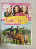 DVD - Grand Galop 1 - Other & Unclassified