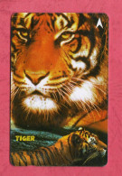 Singapore- Tiger- Singapore Telecom. Used Phone Card By 5 Dollars. - Singapur