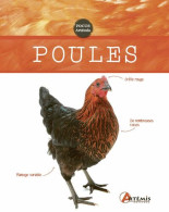 Poules - Autres & Non Classés