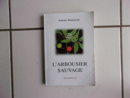 L'arbousier Sauvage RARE - Autres & Non Classés