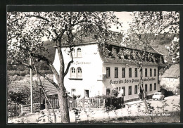 AK Schönau /Gemünden, Gasthaus, Cafe Und Pension Zum Alten Forsthaus  - Caccia