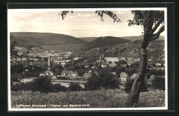 AK Amorbach /Odenwald, Panorama Vom Beuchnerberg  - Amorbach