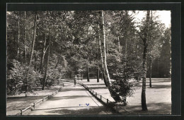 AK Schwabach, Weg Im Stadtpark  - Schwabach