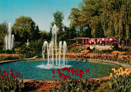 73906063 Zweibruecken Pfalz Rosengarten Springbrunnen Tulpenbluete - Zweibrücken