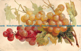 R101024 Fruits. Painting. Postcard. 1904 - Monde