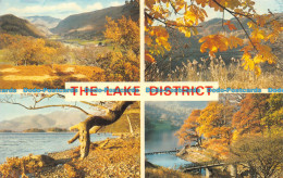 R101041 The Lake District. Sanderson And Dixon. Jarrold. 1980. Multi View - Monde