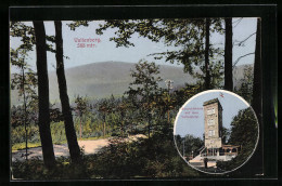 AK Neukirch / Lausitz, Aussichtsturm Auf Dem Valtenberg, Landschaftspanorama  - Neukirch (Lausitz)