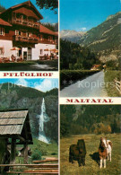 73759393 Maltatal Kaernten Alpenhotel Pflueglhof Wasserfall Strasse Ponys Maltat - Autres & Non Classés