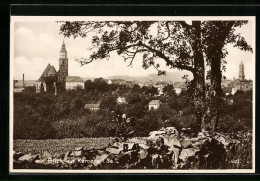 AK Kamenz I. Sa., Panorama  - Kamenz