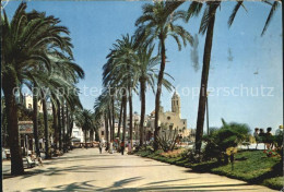 72493458 Sitges Paseo Y Punta Promenade Palmen  - Andere & Zonder Classificatie