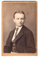 Fotografie F. Seidel, Leitmeritz, Junger Herr Im Anzug Mit Krawatte  - Anonieme Personen