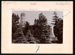 Fotografie Brück & Sohn Meissen, Ansicht Burgstädt I. Sa., Blick Auf Den Wettinhain, Aussichtsturm, König Albert-De  - Lugares