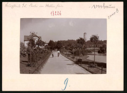 Fotografie Brück & Sohn Meissen, Ansicht Burgstädt I. Sa., Partie Im Wettinhain Mit Blick Auf Den Wasserturm  - Lugares